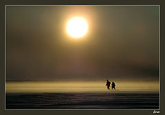 photo "Returning"