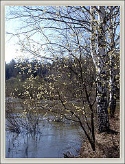 photo "Just A Spring Day"
