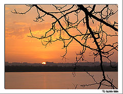 photo "evening in march *4     /from a series /"