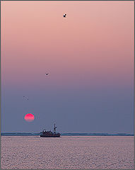 photo "***"