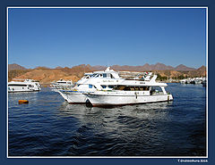 photo "In port of Charm al Sheikh"