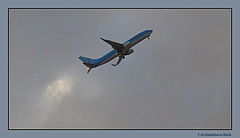 photo "Flight"