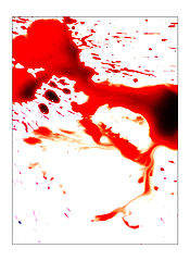 фото "untitled"