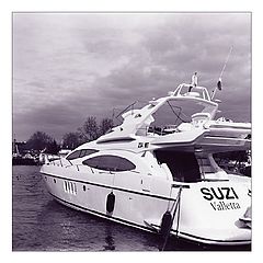 photo "Suzi"