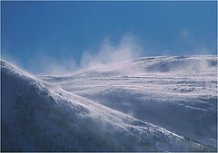 фото "Snow skyes"