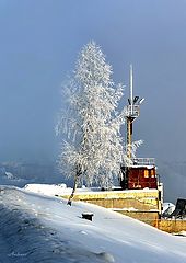 photo "Untitled photo"