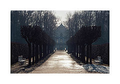 photo "Morning in the park"