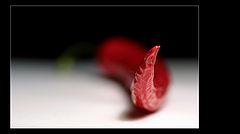 фото "***"
