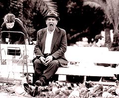 photo "boring"