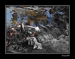 photo "small RIVER..."