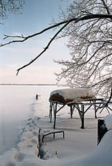 photo "Winter etude 2. Monocle."