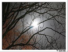 photo "lunar sonata*2 / fragment/"