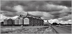 фото "Закрома и дорога"