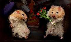 photo "14 МАРТА"