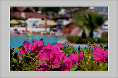 photo "Let`s freshen up..."