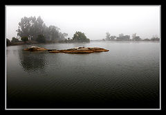 фото "solitude"
