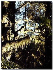 фото "Once Upon a Time..."
