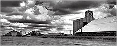 фото "Закрома"