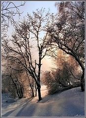 photo "Untitled photo"