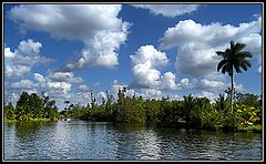 photo "Downstream on river in the line of sea"