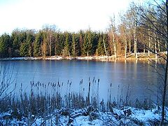 фото "Landscabe."