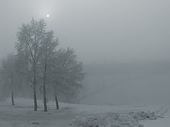 photo "Lyric"