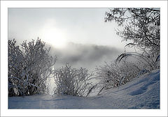 photo "Morning foggy..."