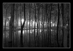 photo "***"