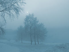 photo "Blue mood"