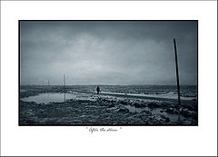 фото "After the Storm"