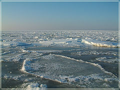 фото "Iced"