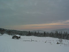 фото "winter evening"