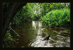 photo "Dobreya river"
