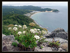 photo "A View to Shepalovo Beach"