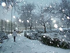 фото "Jerusalem Under Snow"