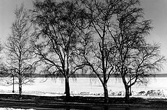 photo "B&W"