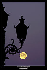 фото "city#5"