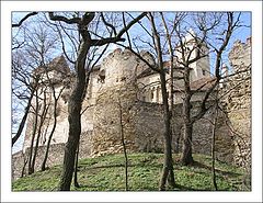 photo "Burg Liechtenstein"