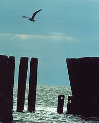 photo "sea gate"