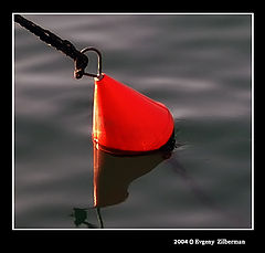 фото "Float"