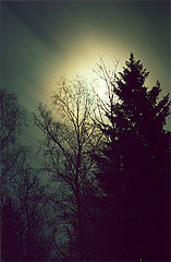 photo "Full moon-2"