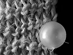photo "Last drop"