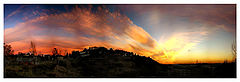 photo "Sky line of fall"