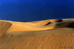 фото "Dunes"