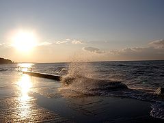 photo "Sochi"