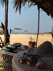 photo "Tropical idling"