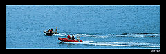 фото "chase"