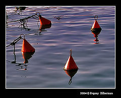 фото "Quartet"