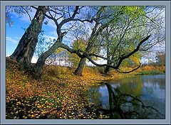 фото "Осень."