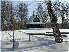 photo "Untitled photo"